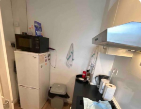Beautiful flat central London